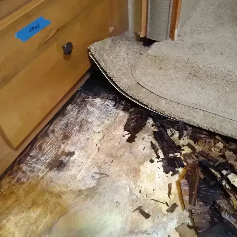 Best Wood Floor Water Damage Service in Oldsmar, FL